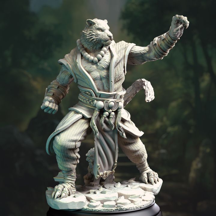 Tiger Tabaxi Monk - DM Stash