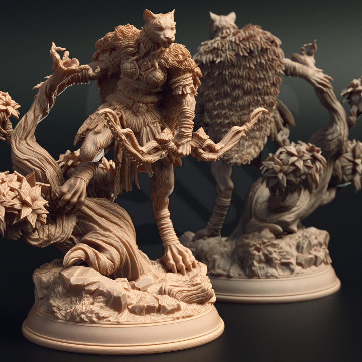 Tabaxi Ranger - DM Stash