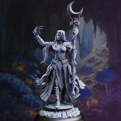 Drow High Priestess - DM Stash