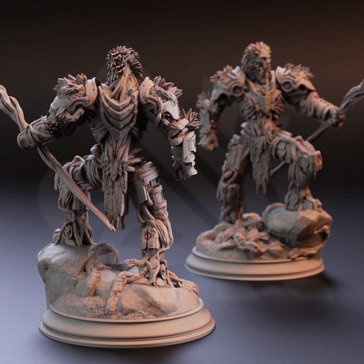 Warforged Druid - DM Stash