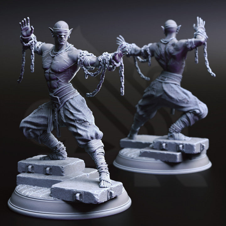Drow Blind Monk - DM Stash