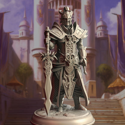 Elf Warrior King - DM Stash