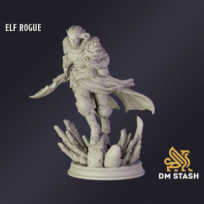 Elf Rogue - DM Stash