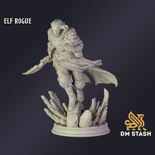 Elf Rogue - DM Stash