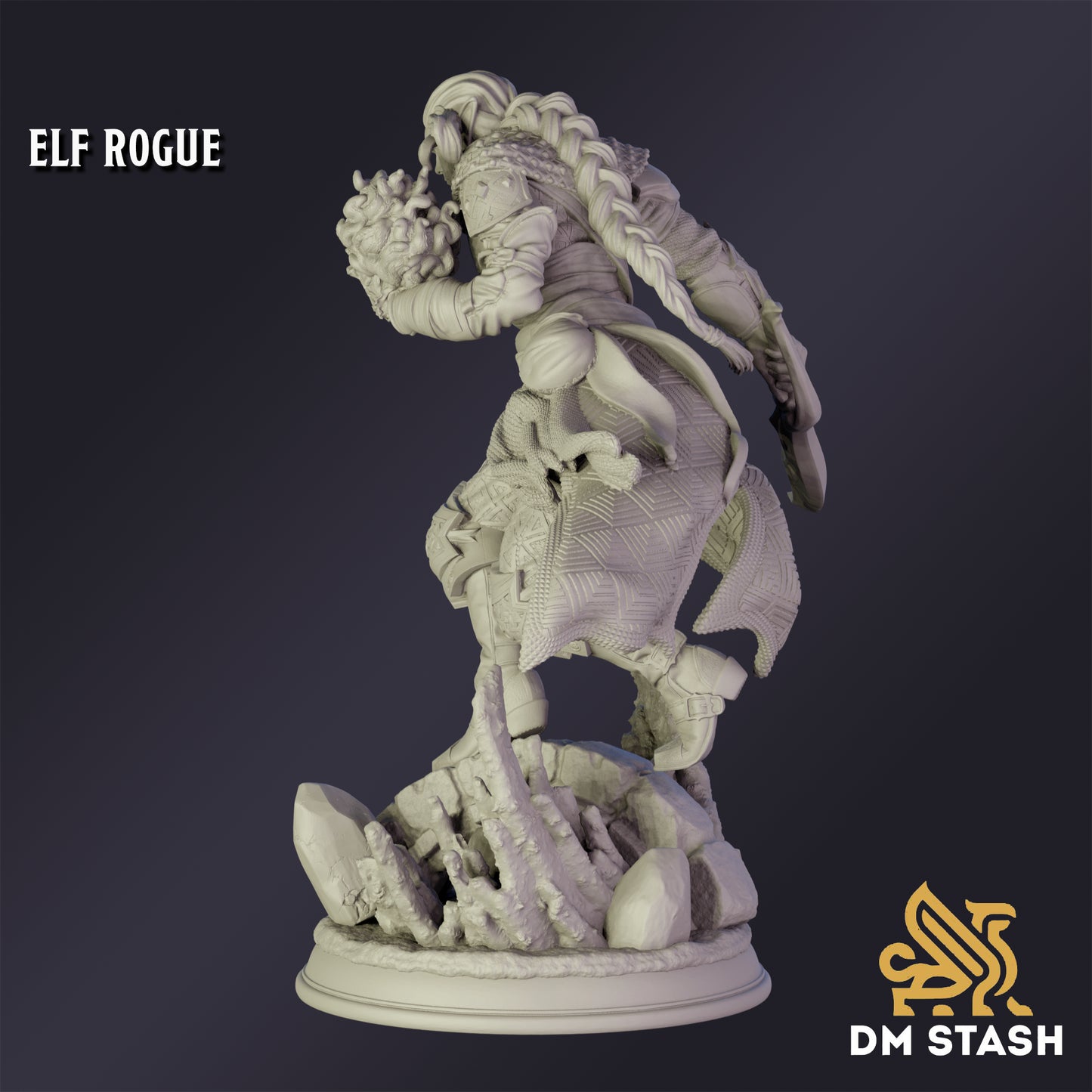 Elf Rogue - DM Stash