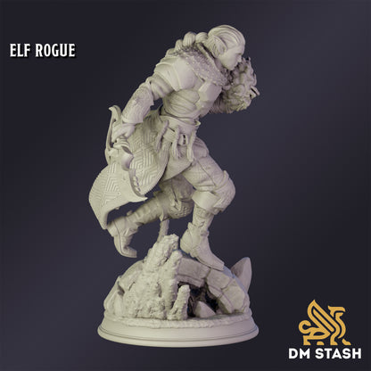 Elf Rogue - DM Stash