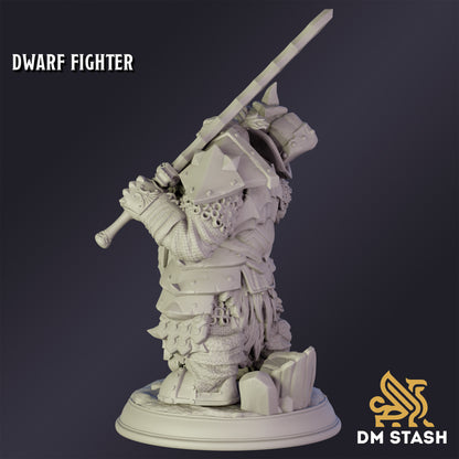 Dwarf Fighter - DM Stash
