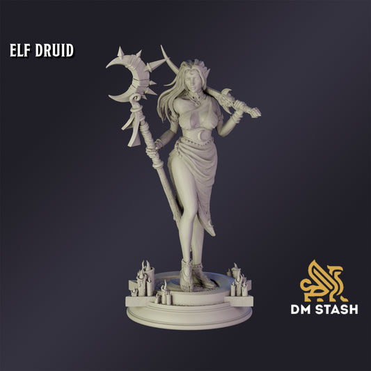 Elf Druid - DM Stash