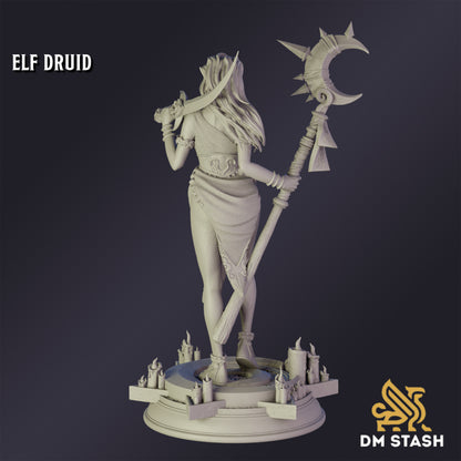 Elf Druid - DM Stash