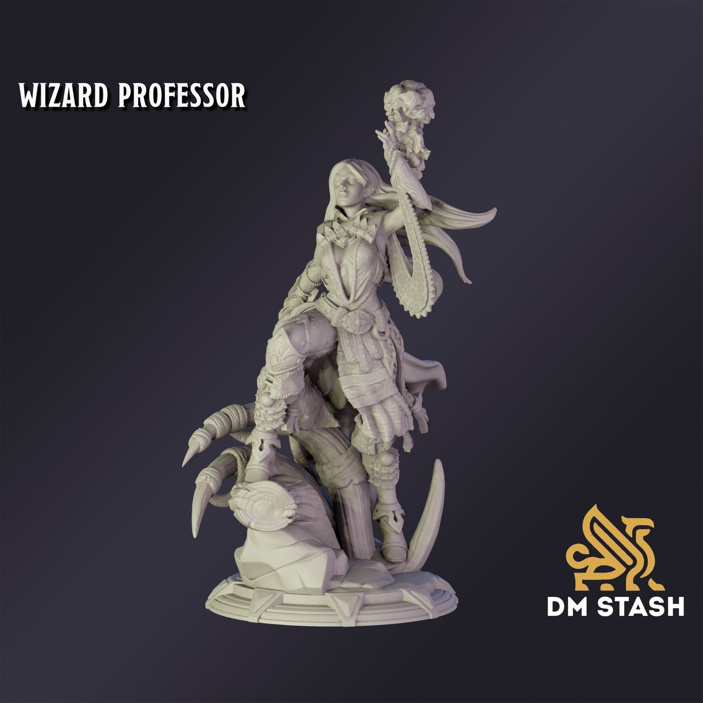 Wizard Professor - DM Stash
