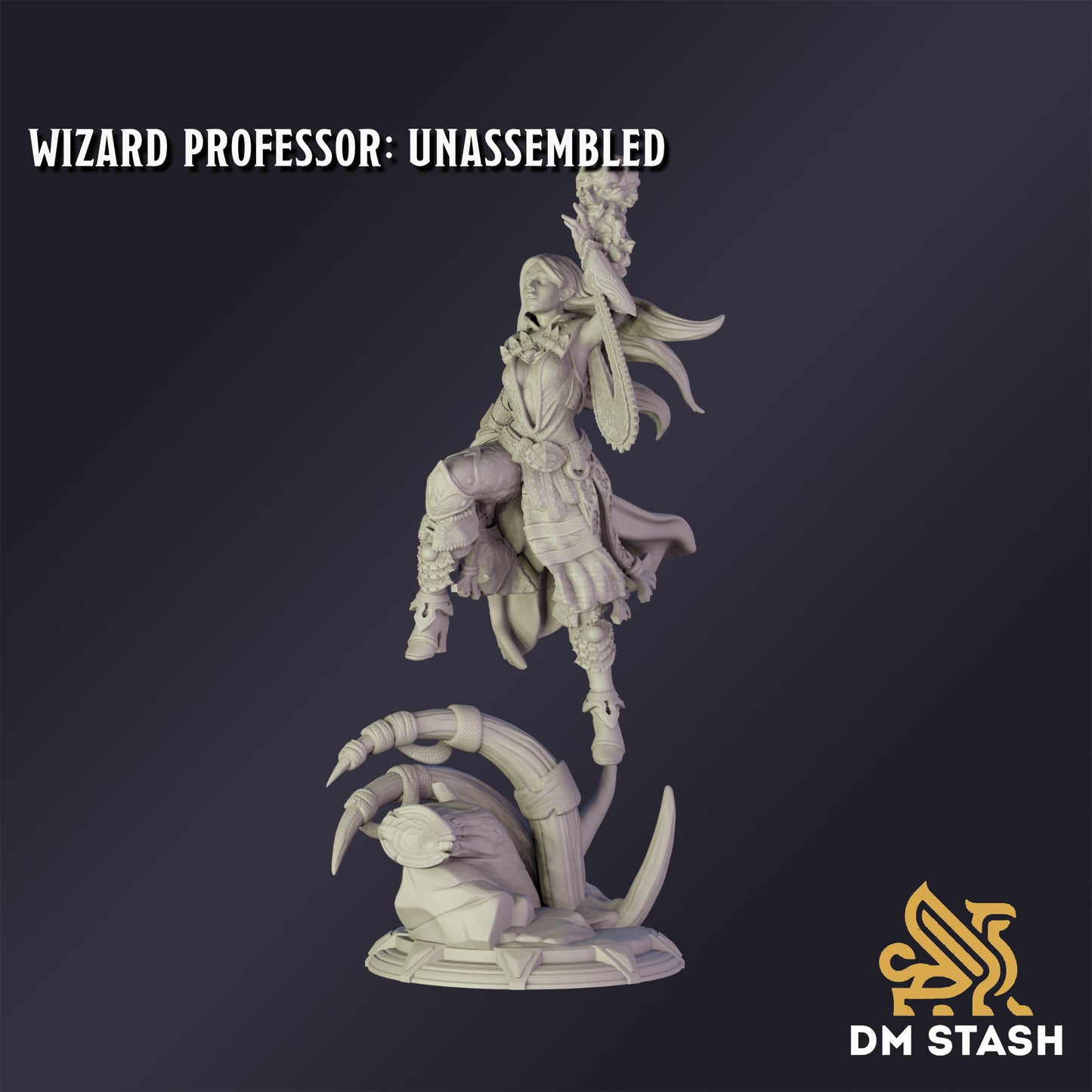 Wizard Professor - DM Stash