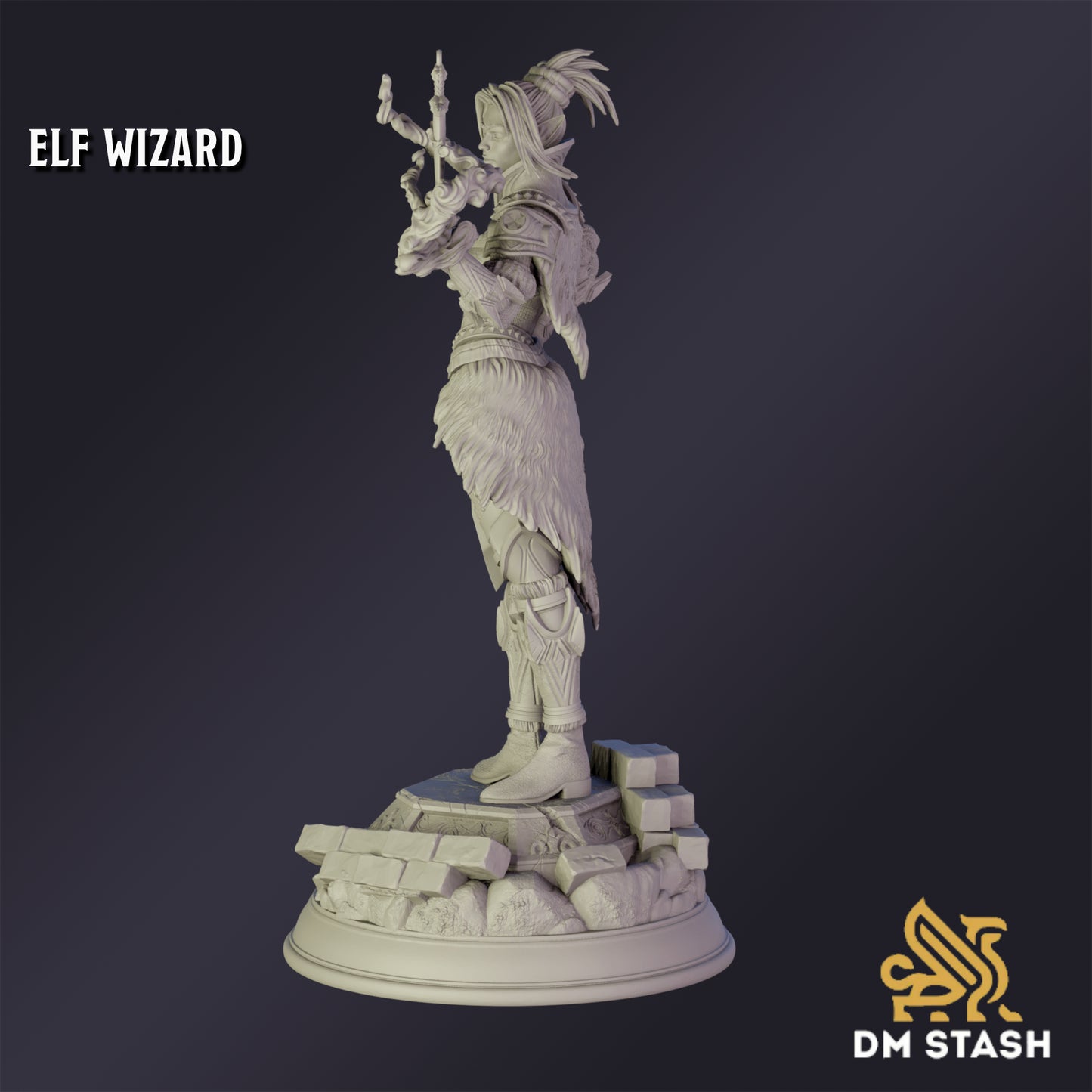 Elf Psionic Wizard - DM Stash