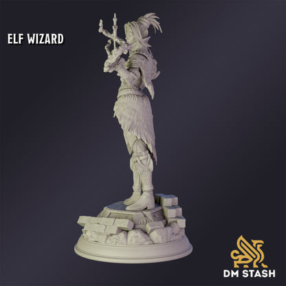 Elf Psionic Wizard - DM Stash