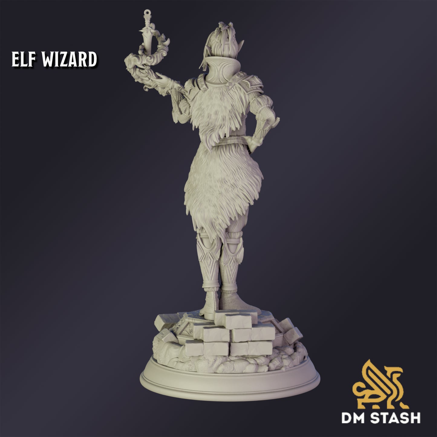 Elf Psionic Wizard - DM Stash