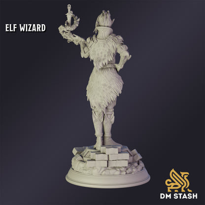 Elf Psionic Wizard - DM Stash