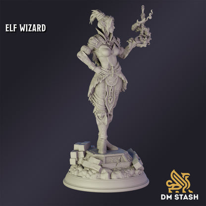 Elf Psionic Wizard - DM Stash