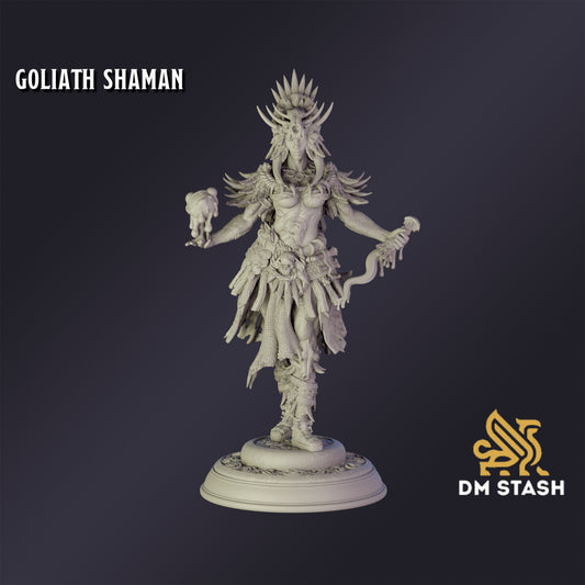 Goliath Shaman - DM Stash