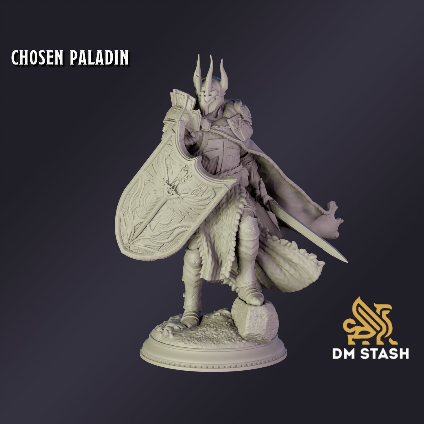 Chosen Paladin - DM Stash