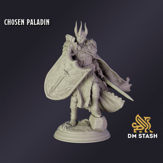 Chosen Paladin - DM Stash