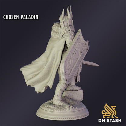 Chosen Paladin - DM Stash