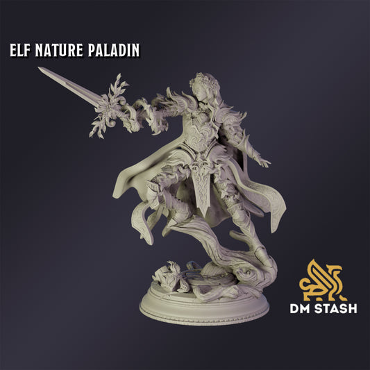 Elf Nature Paladin - DM Stash