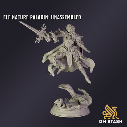 Elf Nature Paladin - DM Stash
