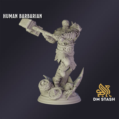 Elf Chaos Sorcerer - DM Stash