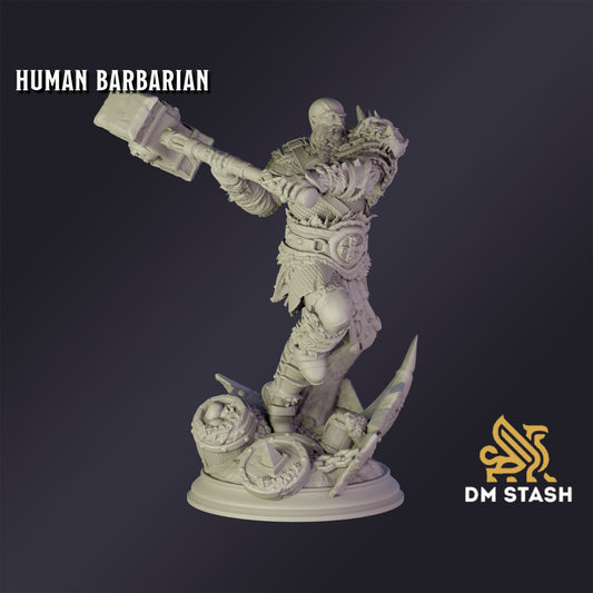 Elf Chaos Sorcerer - DM Stash