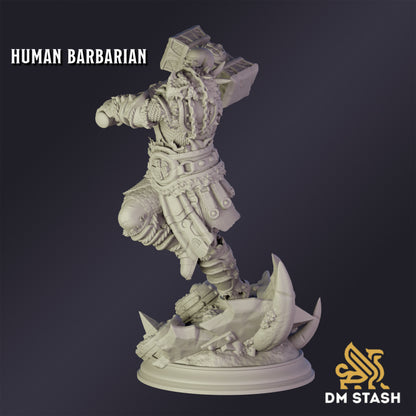 Elf Chaos Sorcerer - DM Stash