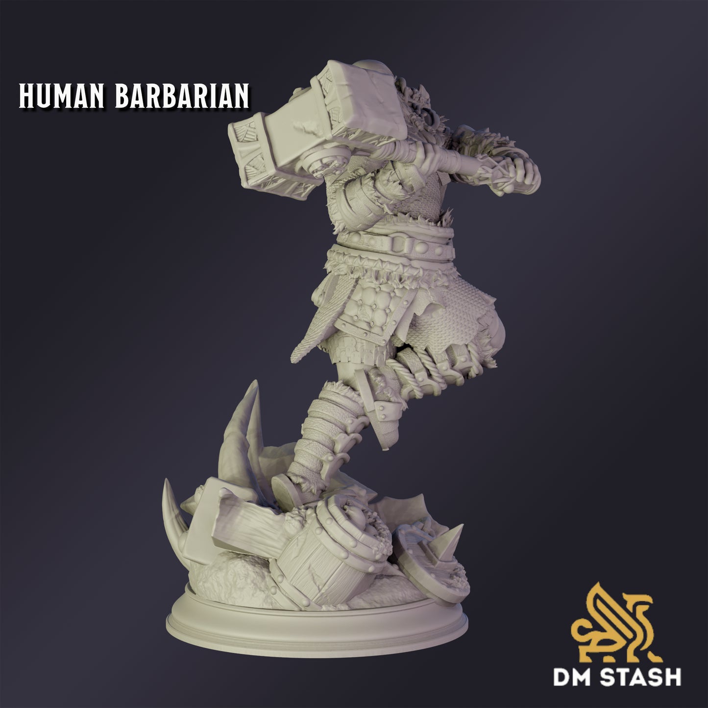 Elf Chaos Sorcerer - DM Stash