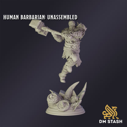 Human Barbarian - DM Stash